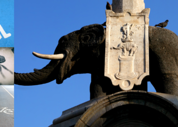 problemi catania.politica