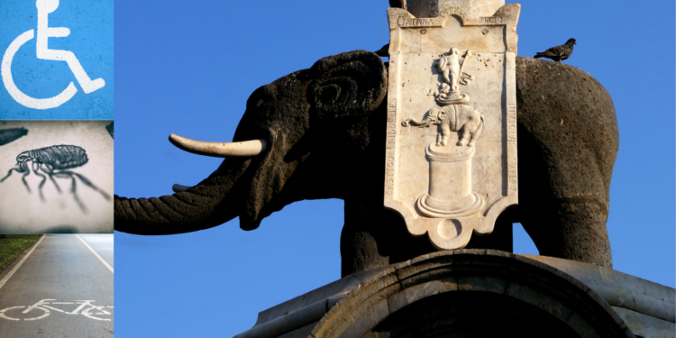 problemi catania.politica