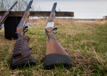 Respinto il ricorso: in Sicilia la stagione della caccia non inizierà in anticipo