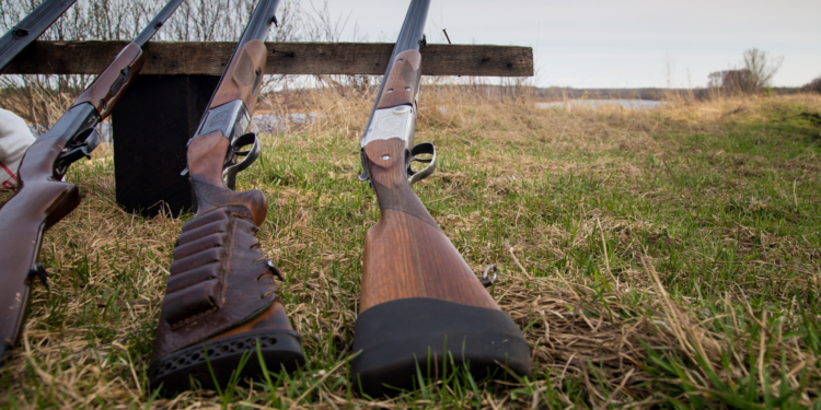 Respinto il ricorso: in Sicilia la stagione della caccia non inizierà in anticipo