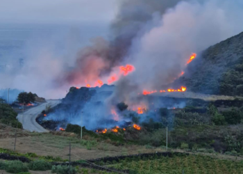 WWF, in Sicilia il 77% degli incendi è di natura dolosa