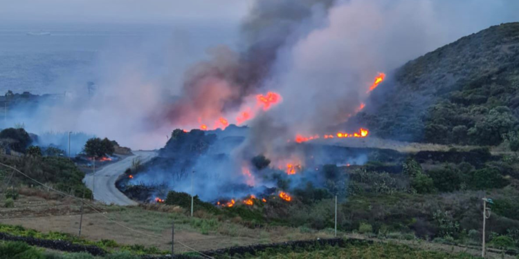 WWF, in Sicilia il 77% degli incendi è di natura dolosa