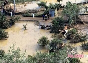 In arrivo 14 milioni di euro per le aziende agricole vittime dell’alluvione del 2018