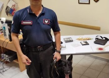 Cane antidroga fiuta la cocaina: arrestato 26enne nel catanese