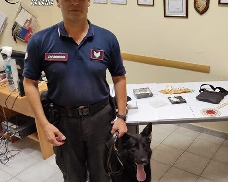 Cane antidroga fiuta la cocaina: arrestato 26enne nel catanese