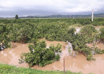 Arrivano i fondi per gli agricoltori colpiti dall’alluvione nel 2018
