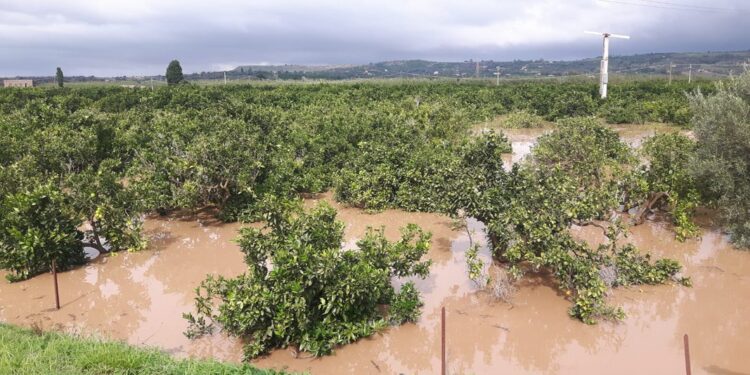 Arrivano i fondi per gli agricoltori colpiti dall’alluvione nel 2018