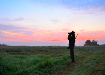 Caccia, il CGA ribalta la decisione del Tar Sicilia