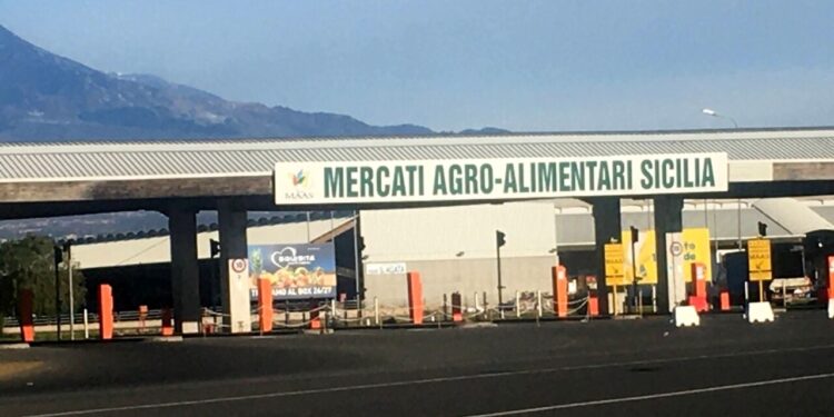 Caro bollette il MAAS rischia il taglio della luce