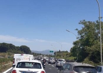 Tre feriti per la caduta di un albero sulla A 18