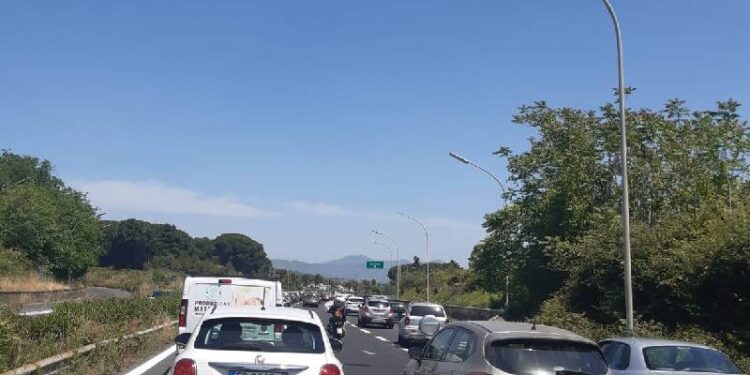 Tre feriti per la caduta di un albero sulla A 18