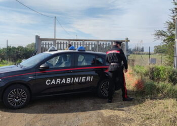 Omicidio romena: proseguono le indagini