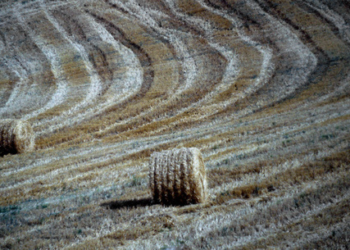 Tragico Natale a Licata, muore schiacciato da balla fieno