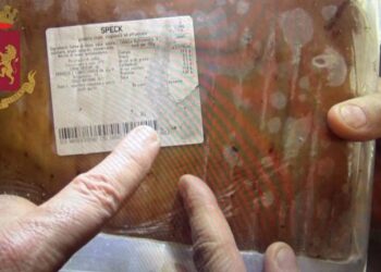 Sporcizia e abusivismo in due ristoranti di via Garibaldi