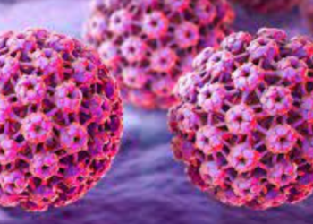 papilloma virus.lifestyle