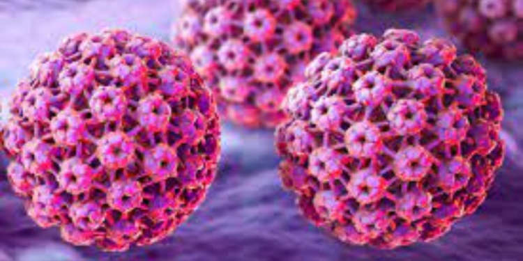 papilloma virus.lifestyle