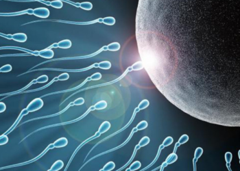 declino degli spermatozoi. lifestyle