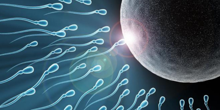 declino degli spermatozoi. lifestyle