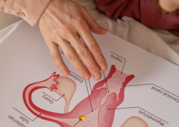 clitoralgia.lifestyle