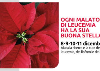 Stelle di Natale per la ricerca