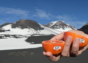 Campagna vendita Arancia Rossa di Sicilia Igp da 40 mln