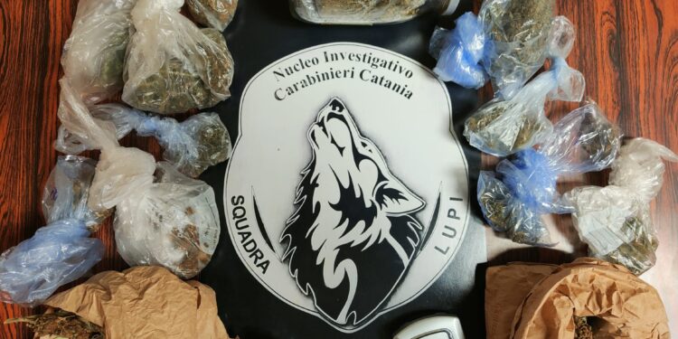 Consegna parte della droga ai carabinieri: arrestato 57enne