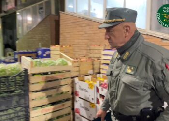 Mercato ortofrutticolo: elevate 9.000 euro di sanzioni