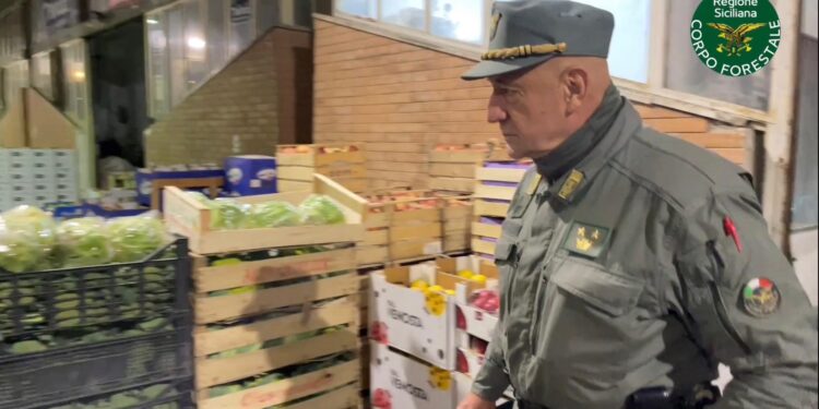 Mercato ortofrutticolo: elevate 9.000 euro di sanzioni