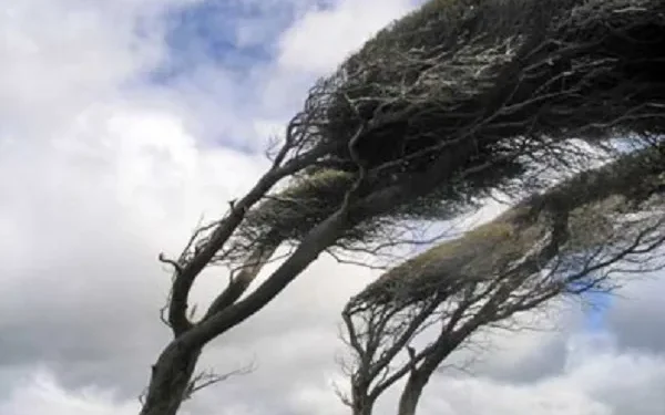 Meteo: rinforzo dei venti e weekend all’insegna della nuvolosità