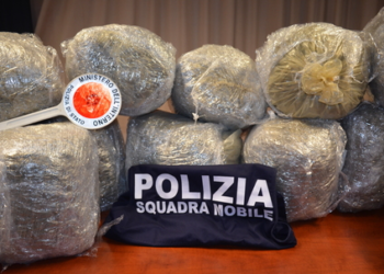 Polizia sequestra 44 kg di marijuana