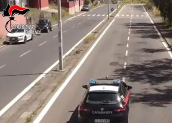 Nipote evade e tenta di uccidere il cane degli zii: arrestato