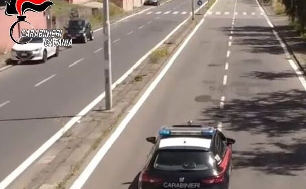 Nipote evade e tenta di uccidere il cane degli zii: arrestato