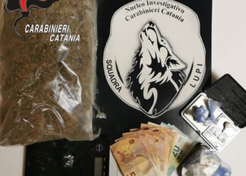 Sequestrati 42 gr cocaina e 810 marijuana: due arresti
