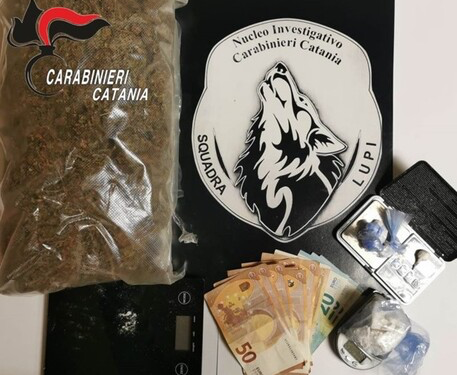 Sequestrati 42 gr cocaina e 810 marijuana: due arresti
