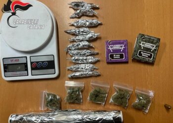 Gestiva “in proprio” lo spaccio di erba: arrestato un minorenne