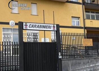 Arrestato pregiudicato per maltrattamenti