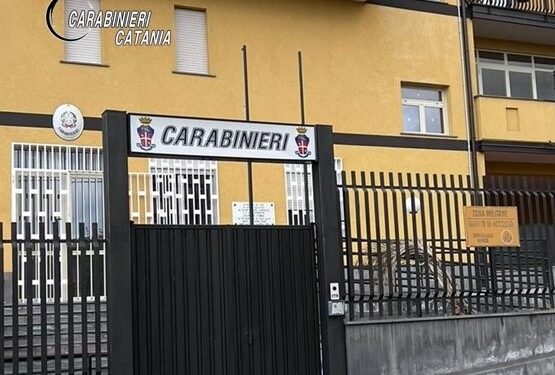 Arrestato pregiudicato per maltrattamenti