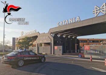 Arresti domiciliari per 2 dipendenti pubblici, un ex deputato Regionale e un imprenditore