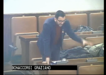 crisi istituzionale.politica