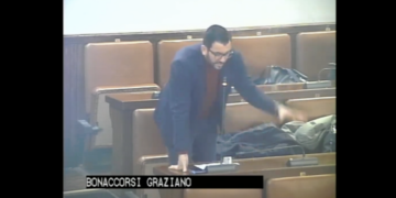 crisi istituzionale.politica