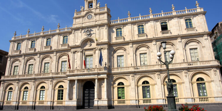 università