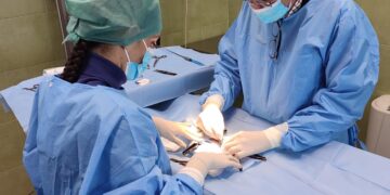 Ripresa sterilizzazione gratuita dei cani e dei gatti all’Asp di Catania