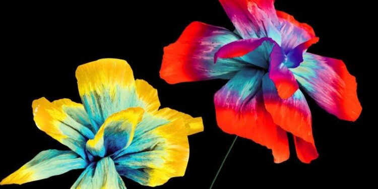 Torna Diodato che il prossimo 24 marzo uscirà con il nuovo album ” Così speciale”