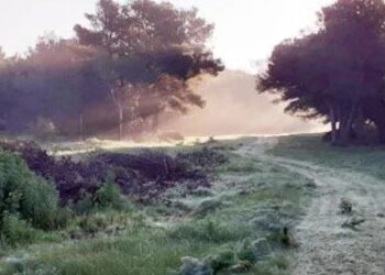Un’oasi di pace? Si trova a Trapani ed è il bosco di Madonna Ciavolo
