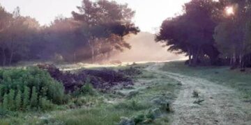 Un’oasi di pace? Si trova a Trapani ed è il bosco di Madonna Ciavolo