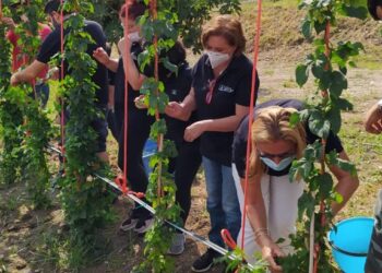 “La prima birra autoctona di Sicilia”: progetto realizzato dall’I.S. Borghese Faranda di Patti