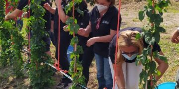“La prima birra autoctona di Sicilia”: progetto realizzato dall’I.S. Borghese Faranda di Patti