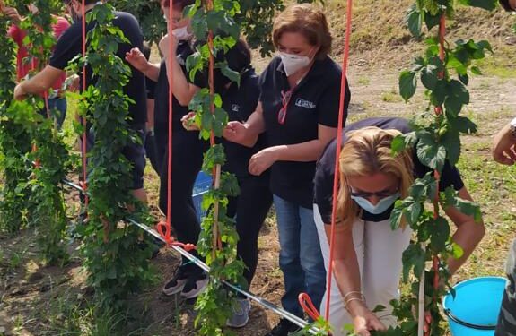 “La prima birra autoctona di Sicilia”: progetto realizzato dall’I.S. Borghese Faranda di Patti