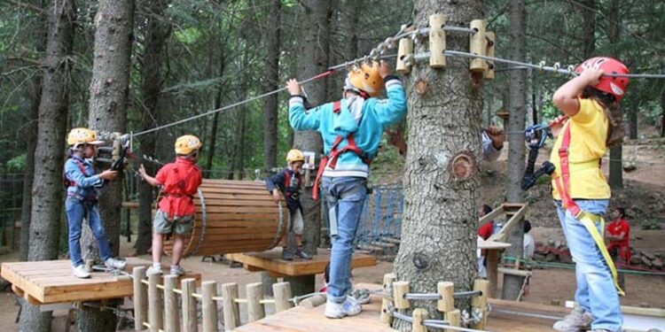 Campi estivi 2023 per i più piccoli: organizzati da “Parco Avventura Madonie” di Palermo