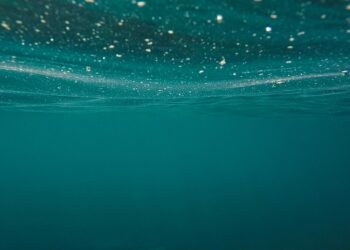 Festival del cinema di Cefalù, “Uova di seppia” vince il premio Earth day 2023